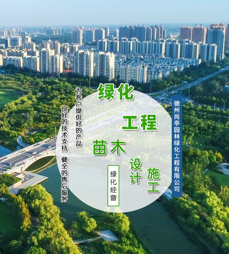 vmall 1212 m